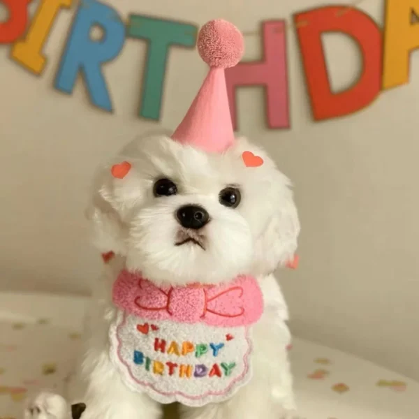 CONJUNTO DE CUMPLEAÑOS PARA MASCOTAS