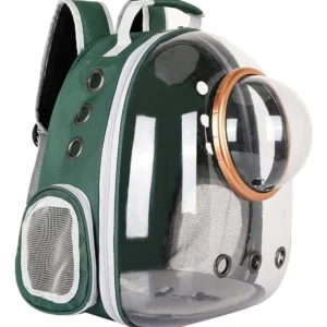 BOLSO TRANSPARENTE CON CAPSULA VERDE 42x29x27 cm