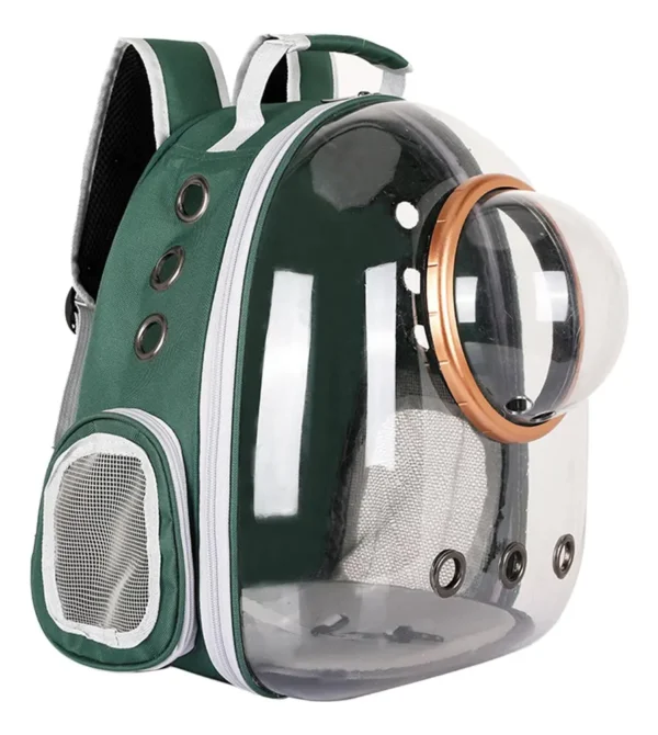 MORRAL TRANSPARENTE CON CAPSULA VERDE 42x29x27 cm