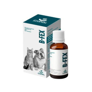 B-FEX X 60ML