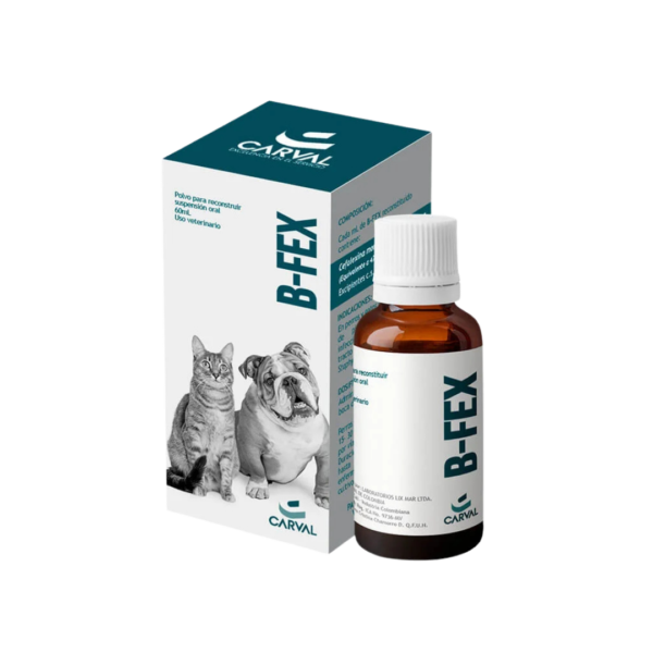 B-FEX X 60ML