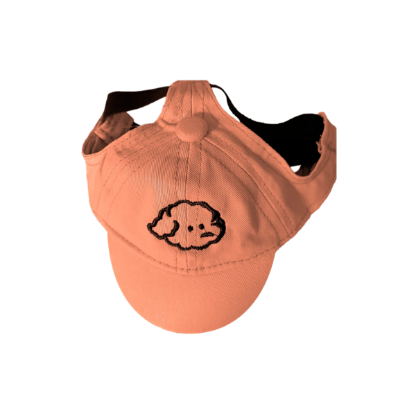 GORRAS PARA MASCOTA X1