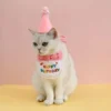 CONJUNTO DE CUMPLEAÑOS PARA MASCOTAS