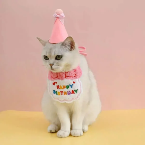 CONJUNTO DE CUMPLEAÑOS PARA MASCOTAS