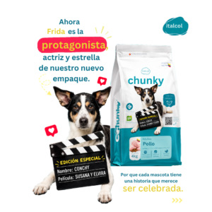 CHUNKY ADULTO POLLO DOG 2KG