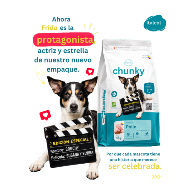 CHUNKY ADULTO POLLO DOG 2KG