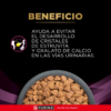 PRO PLAN ADULTO URINARY GATOS (ST /OX) 1.5 KG